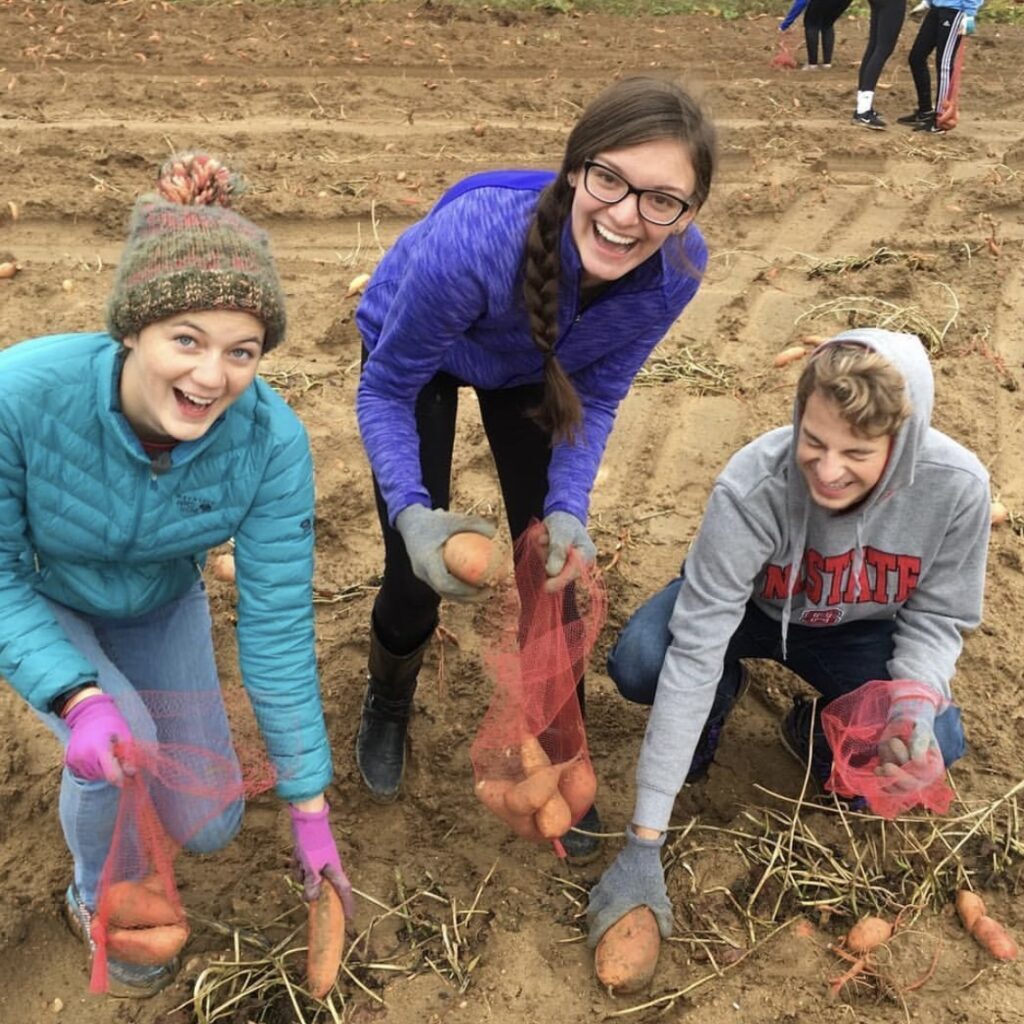 Students spend the morning gleaning sweet potatoes from an incompletely harvested field that supports feeding agencies in the Carolinas.