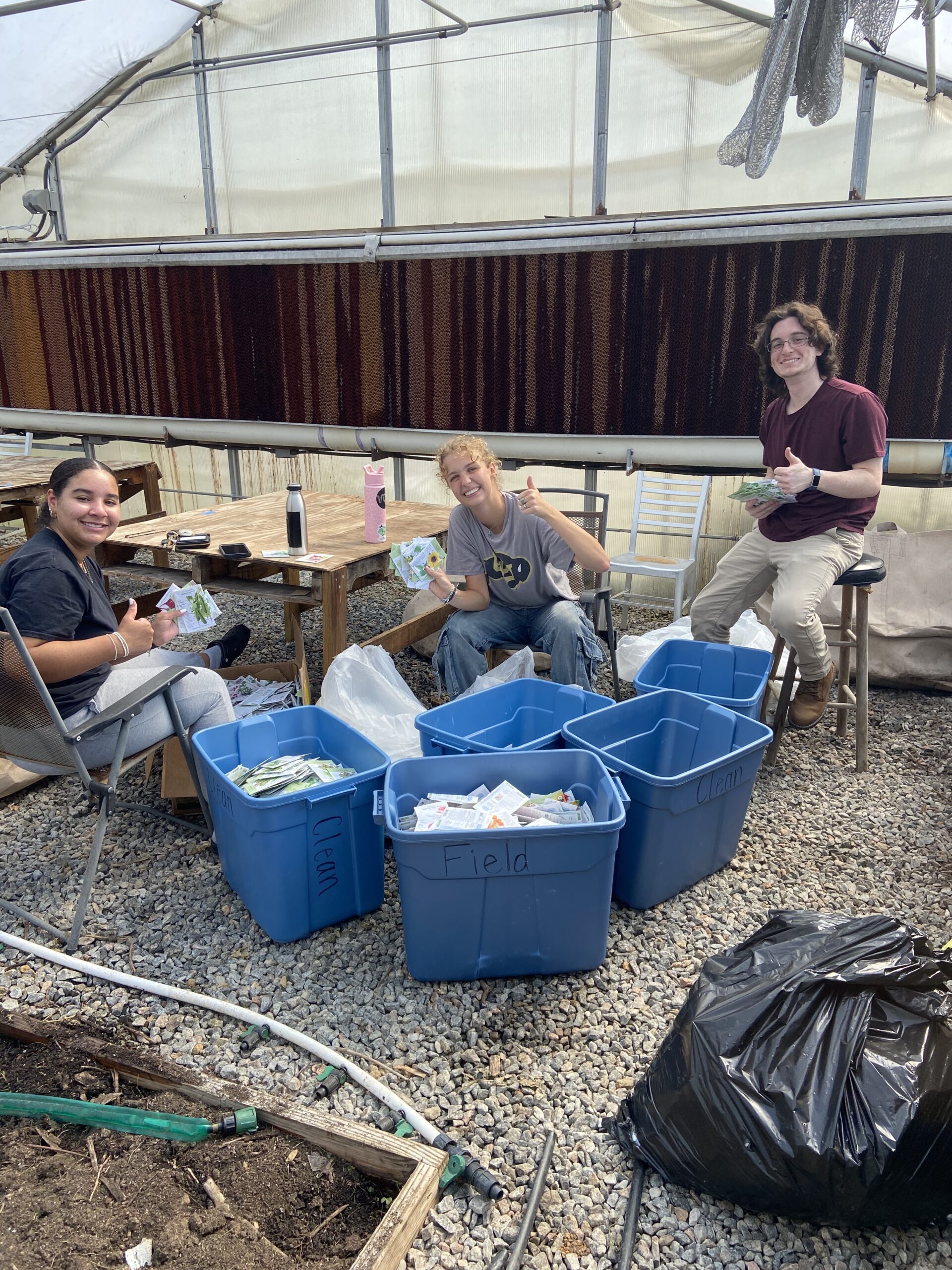 Students in our Hunger Alleviation & Food Security Community of Practice sort seed packets into bins at Raleigh City Farm, an urban farm in downtown Raleigh.