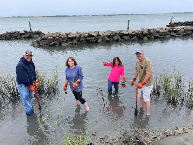 A group of volunteers cleans up a marsh in the Outer Banks.