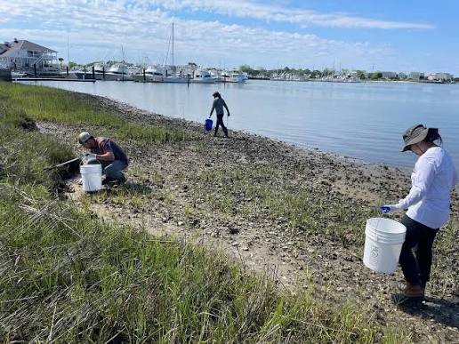A group of volunteers cleans up a beach in the Outer Banks.