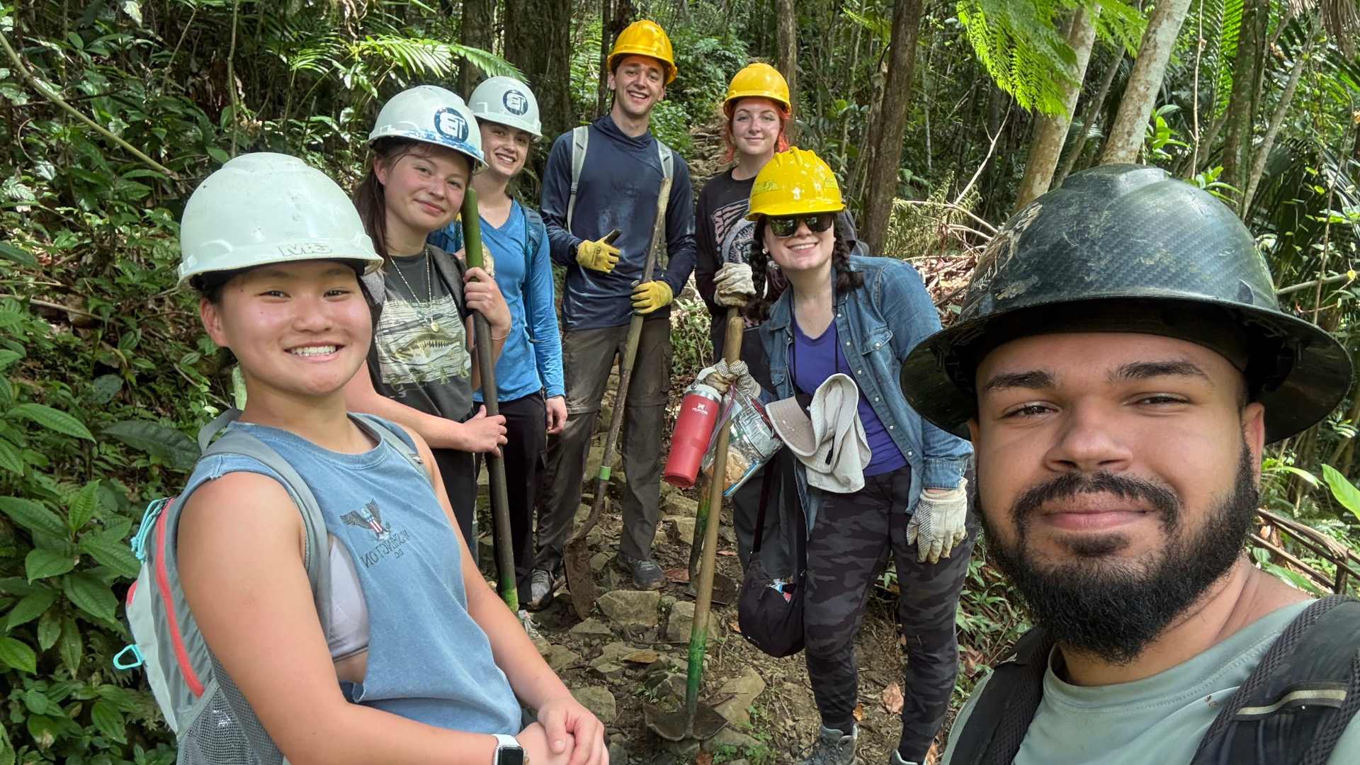 A group of ASB Puerto Rico participants hikes through the rainforest.