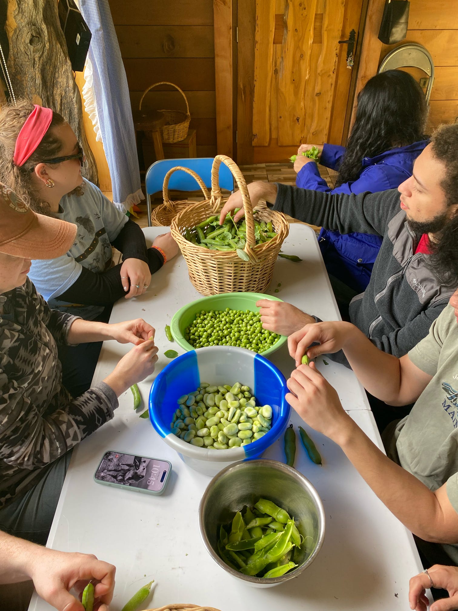 Multiple people sit around a table shelling peas recently picked from the field.